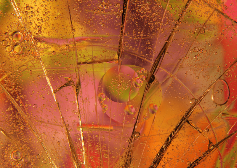 Illustration for article titled 40 Sharp and Shattered Photographs